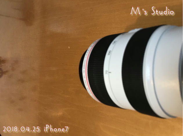 Canon EF70-300mm F4-5.6L IS USM@70