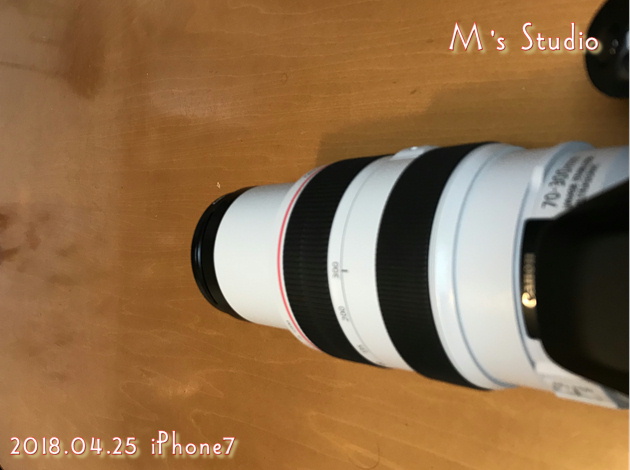 Canon EF70-300mm F4-5.6L IS USM@300
