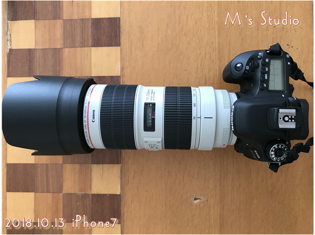 CANON EF70-200mm F2.8L IS III USM EOS 80D Yt[h