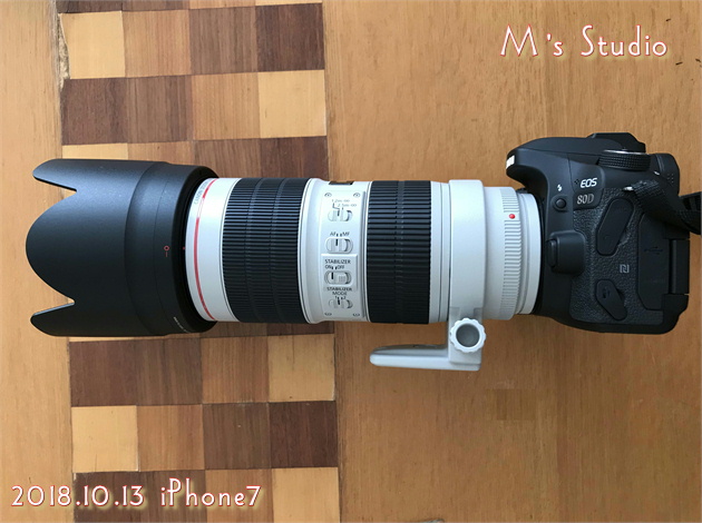 CANON EF70-200mm F2.8L IS III USM EOS 80D@Or