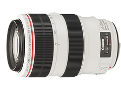 Canon EF70-300mm F4-5.6L IS USM