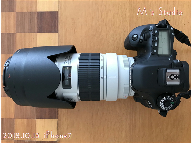 CANON EF70-200mm F2.8L IS III USM