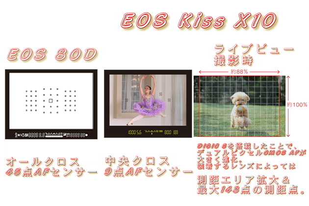 Canon キヤノン　EOS 80D Kiss x10 違い　デジタル一眼レフカメラ　測距点