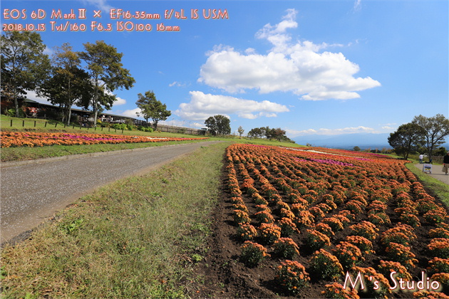 くじゅう花公園　EOS 6D MarkⅡ　EF16-35mmF4L IS USM