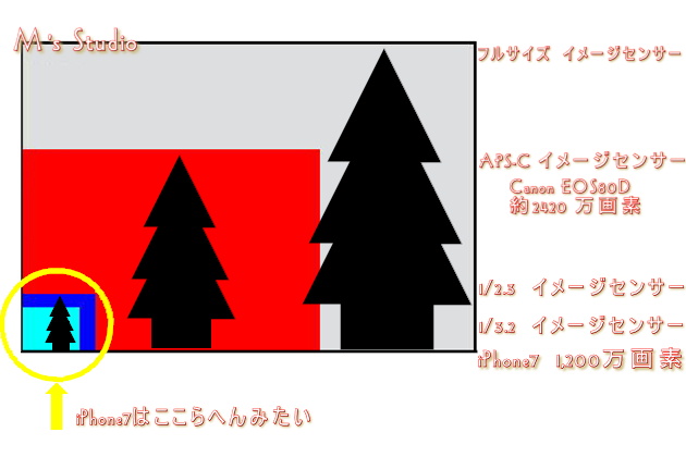 tTCY@APS-C C[WZT[@TCY@Ⴂ