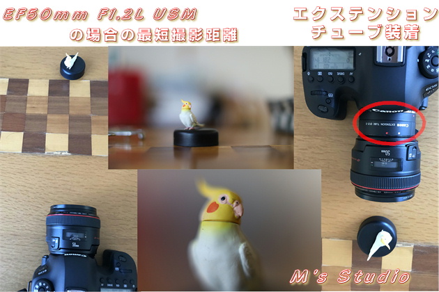 Canon Lm@EF25U@Extention Tube GNXeV`[u@{ڎʁ@AE@\@Iot{@EOS 6D Mark EF50mm F1.2L USM EF5012LU