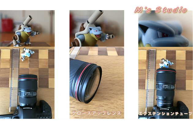 Canon Lm@EF25U@Extention Tube GNXeV`[u@{ڎʁ@AE@\@Iot{@EOS 6D Mark EF16-35mm f/4L IS USM@N[YAbvY