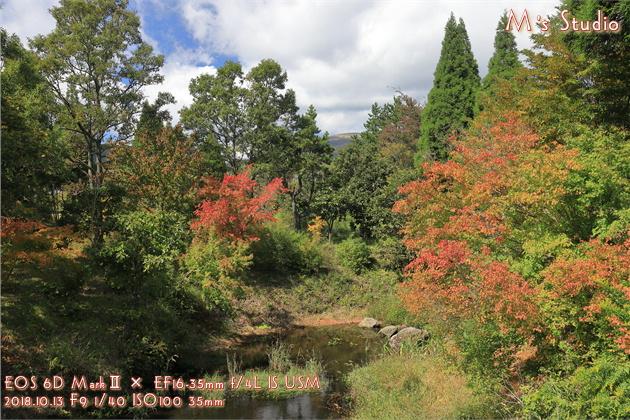 大分県竹田市久住町 くじゅう花公園 紅葉