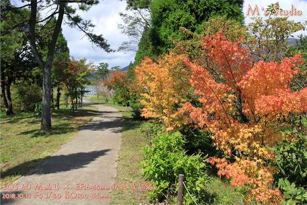 大分県竹田市久住町 くじゅう花公園 紅葉