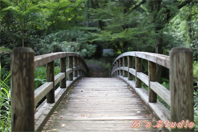 おんせん県おおいた　大分県　竹田市　荻町　陽目　371番地　白水の滝　しらみずのたき　陽目の里　ひなためのさと　名水茶屋　豊の国名水１５選　陽目の里キャンピングパーク　囲炉裏 豊後牛膳 えのは塩焼き 母滝 湧水　EOS 6D MarkⅡ EF16-35mm f/4L IS USM　EF50mm F1.2L USM