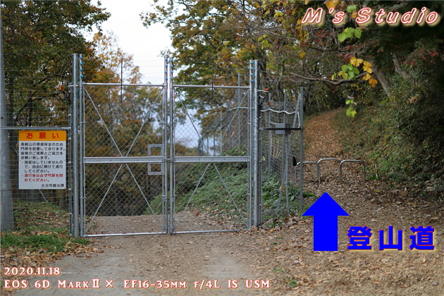 2020年11月　令和２年11月　大分県　大分市　おんせん県　紅葉　紅葉狩り　見頃　情報　高崎山　高崎城　登山　登山道　銭瓶峠　森林セラピー　基地　セラピーロード　いにしえの森　ニホンザル　NPO法人森林セラピーソサエティ　写真　一眼レフ　6D MarkⅡ EF50mm F1.2L USM　EF16-35mm f/4L IS USM　EF70-200mmF2.8L IS Ⅲ US