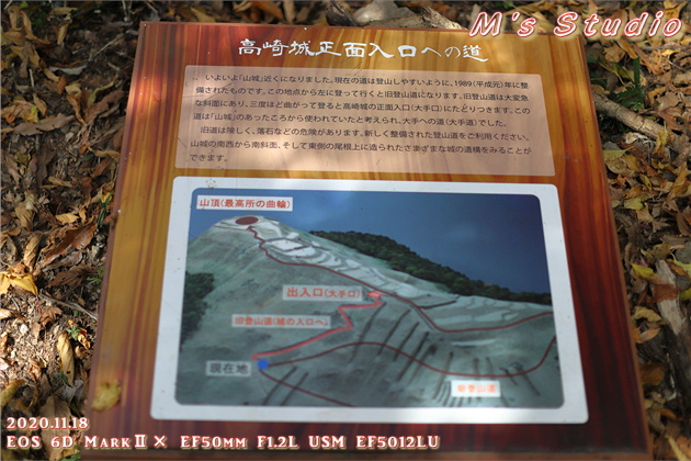 2020年11月　令和２年11月　大分県　大分市　おんせん県　紅葉　紅葉狩り　見頃　情報　高崎山　高崎城　登山　登山道　銭瓶峠　森林セラピー　基地　セラピーロード　いにしえの森　ニホンザル　NPO法人森林セラピーソサエティ　写真　一眼レフ　6D MarkⅡ EF50mm F1.2L USM　EF16-35mm f/4L IS USM　EF70-200mmF2.8L IS Ⅲ US