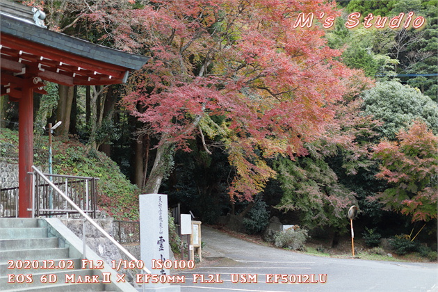 2020.12　霊山寺　紅葉　駐車場