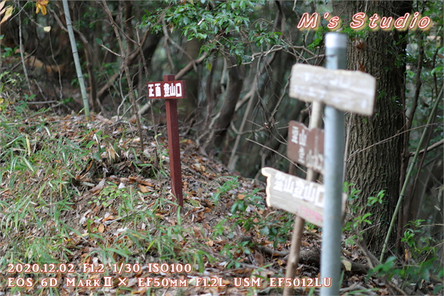 2020.12　霊山寺　紅葉　登山道　登山ルート　正面　入り口