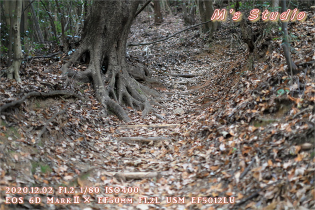 2020.12　霊山寺　紅葉　登山道　登山ルート