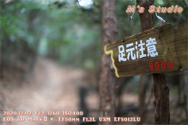 2020.12　霊山寺　紅葉　登山道　登山ルート　足元注意