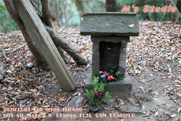 2020.12　霊山寺　紅葉　登山道　登山ルート　飛来山　485ｍ