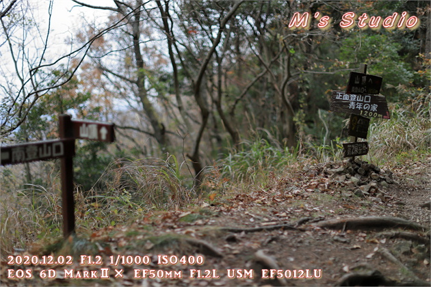 2020.12　霊山寺　紅葉　登山道　登山ルート　