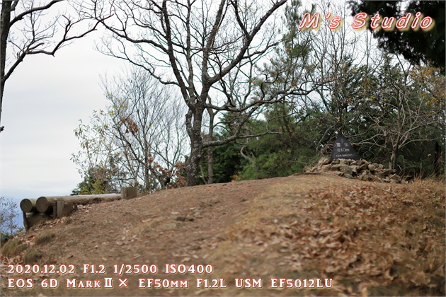 2020.12　霊山寺　紅葉　登山道　登山ルート　森林セラピー　610ｍ