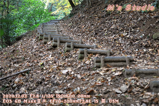 2020.12　霊山寺　紅葉　登山道　登山ルート　日枝神社　遊歩道　階段　急勾配