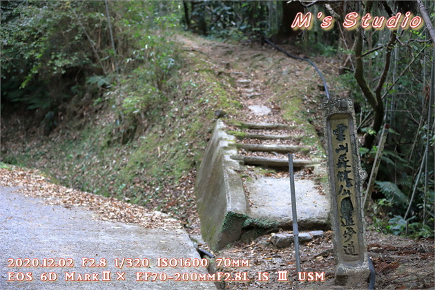 2020.12　霊山寺　紅葉　登山道　登山ルート　日枝神社　遊歩道　階段　急勾配