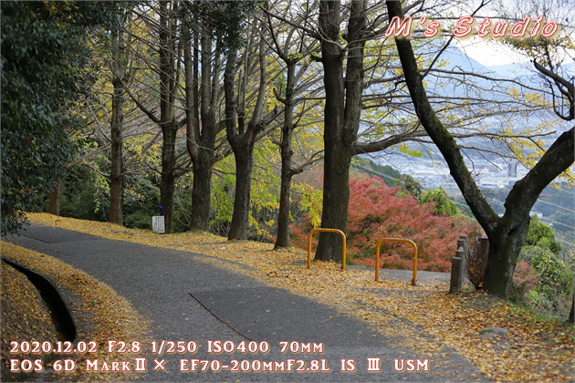 2020.12　霊山寺　紅葉　夜景　夜景スポット　カーセックス　コンドーム　ゴミ　覗き