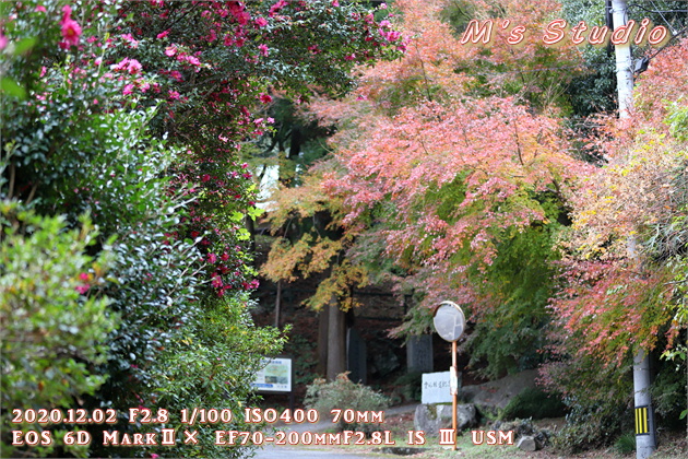 2020.12　霊山寺　紅葉