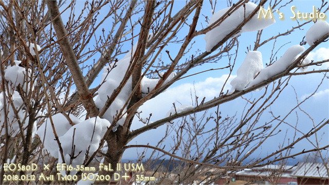 久住高原コテージ　雪　冬景色　立ち寄り湯　露天風呂　家族湯