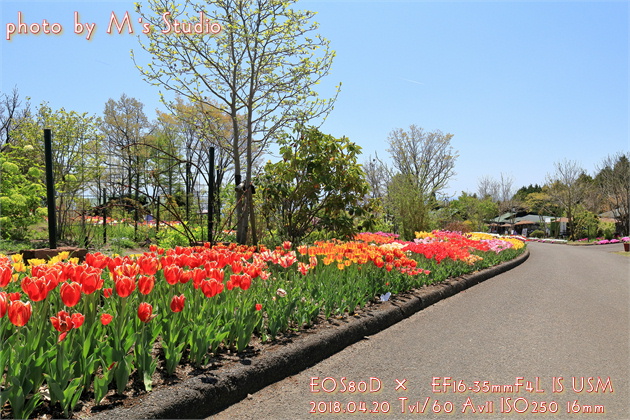 くじゅう花公園　くじゅうガーデン