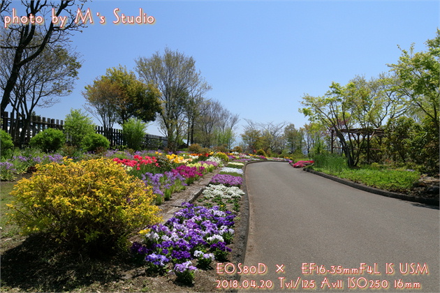 くじゅう花公園　くじゅうガーデン