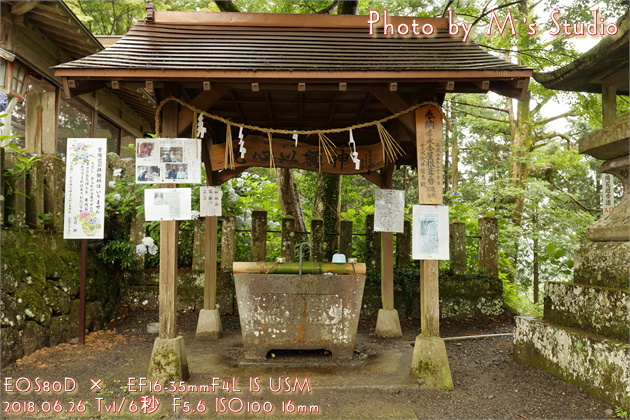 大分県玖珠郡九重町　宝八幡宮　アジサイ　紫陽花　あじさい　手水舎