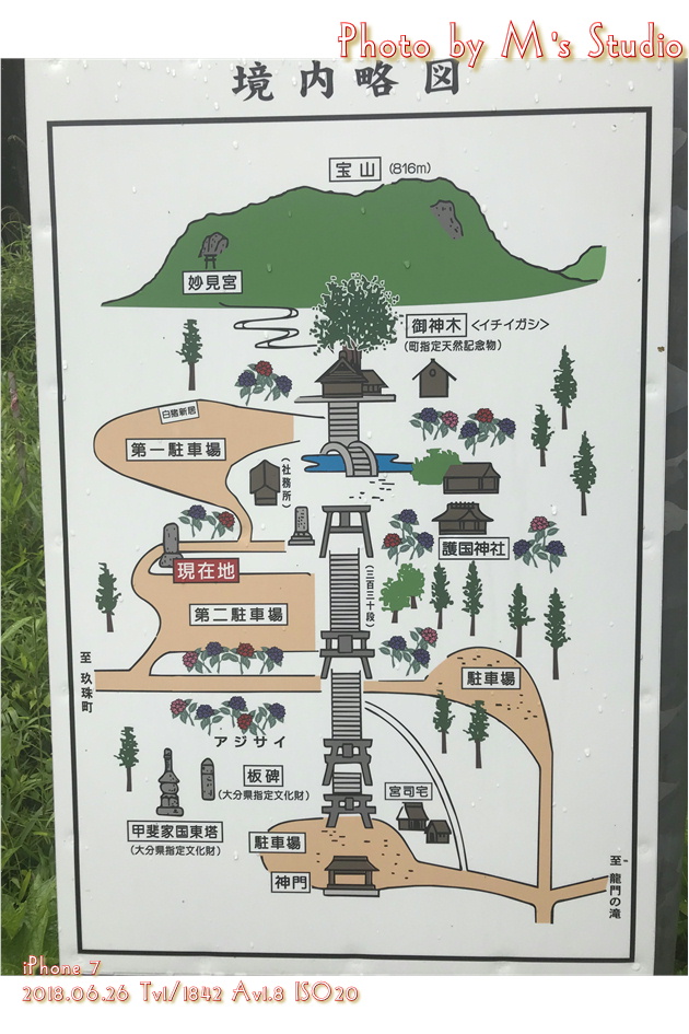 大分県玖珠郡九重町 宝八幡宮 アジサイ 紫陽花 あじさい 境内 案内