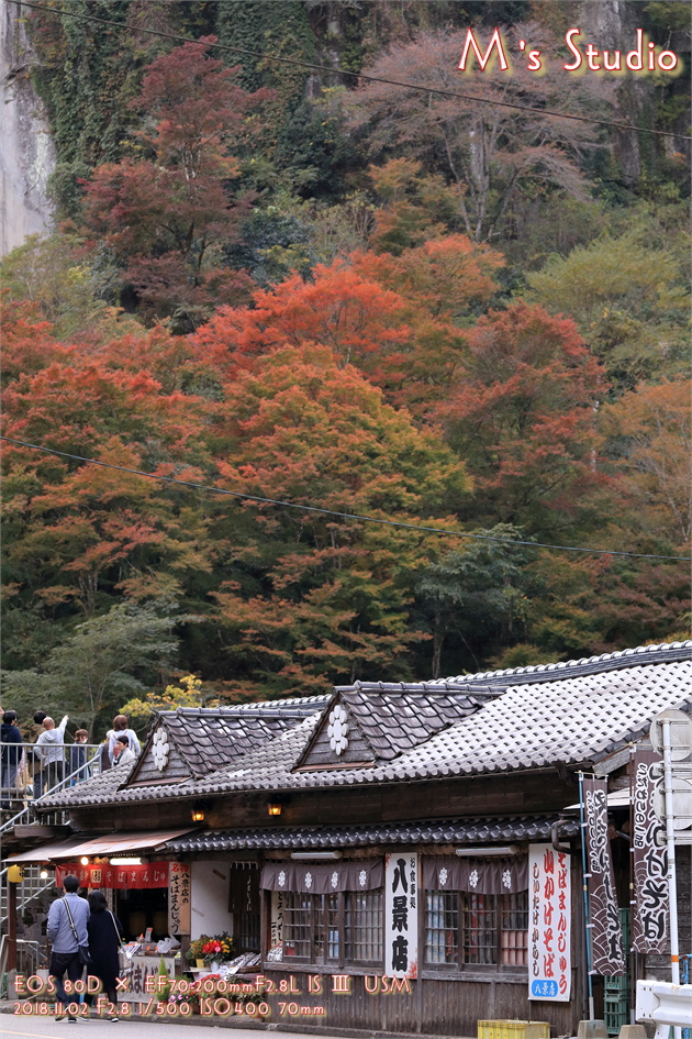 2018.11　平成30年11月　大分県中津市耶馬渓町　一目八景　紅葉見頃