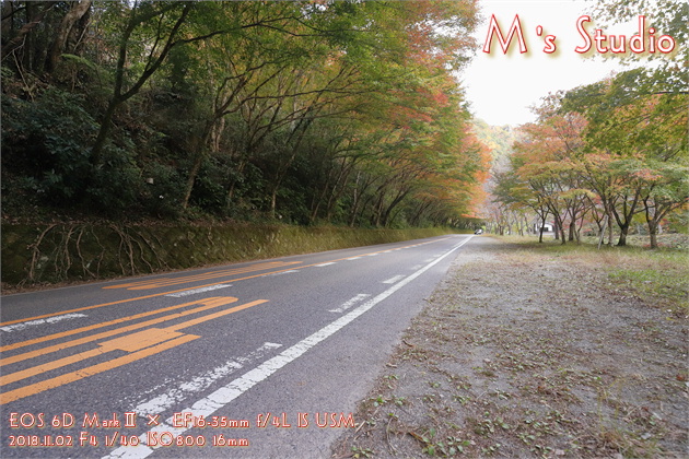 2018.11　平成30年11月　大分県中津市耶馬渓町　一目八景　紅葉見頃