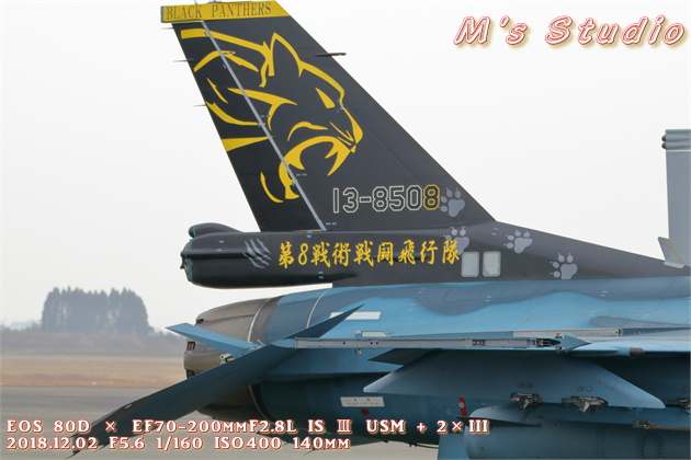 宮崎県　新田原　エアフェスタ　F-2 第８戦術戦闘飛行隊