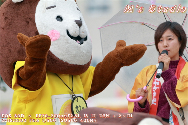 ゆるキャラ みやざき犬 むぅちゃん ひぃくん かぁくん 宮崎県 新田原 航空祭 エアフェスタ