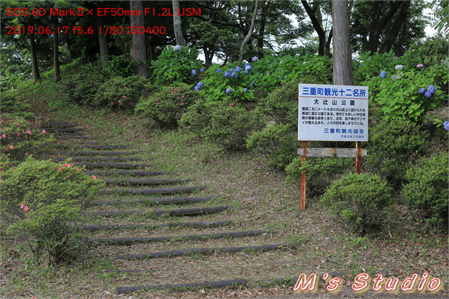 おんせん県おおいた　温泉県　大分県　豊後大野市　朝地町　上尾塚　普光寺　ふこうじ　あじさい寺　６月　見頃　開花状況　あじさい　紫陽花　令和元年　2019年06月17日　豊後大野市朝地町　普光寺　ふこうじ　大辻山　大辻あじさい公園　県下有数　紫陽花　アジサイ　数千株　三重町観光十二名所　標高２５０メートル　眺望に富む公園　中世豪族の墳墓