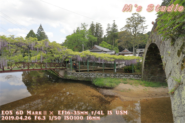 おんせん県おおいた　大分県　大分市　寒田　そうだ　ささむた　西寒多神社　ふじまつり　藤　祭り　EOS 6D MarkⅡ EF16-35mm f/4L IS USM　EOS 80D  EF70-200mmF2.8L IS Ⅲ USM