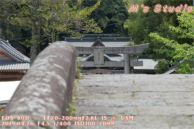 おんせん県おおいた　大分県　大分市　寒田　そうだ　ささむた　西寒多神社　ふじまつり　藤　祭り　EOS 6D MarkⅡ EF16-35mm f/4L IS USM　EOS 80D  EF70-200mmF2.8L IS Ⅲ USM