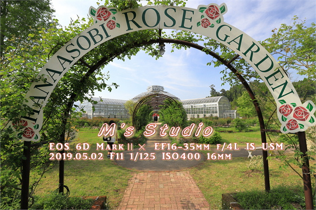 熊本県　阿蘇市　小里　はな阿蘇美　はなあそび　Rose Festival 開催中　バラ　まつり　見頃　４月下旬　６月中旬　春の阿蘇　写真　一眼レフ Canon EOS 6D MarkⅡ EF16-35mm f/4L IS USM