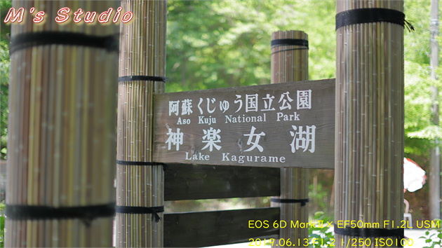 おんせん県おおいた　大分県　別府市　枝郷　阿蘇くじゅう国立公園　神楽女湖　かぐらめこ　１万5000株　菖蒲　花　しょうぶ　園　観賞会　見頃　五分咲き　６月中旬　６月下旬　志高湖　写真撮影会　EOS 6D MarkⅡ　EF16-35mm f/4L IS USM　EF70-200mmF2.8L IS Ⅲ USM　EF50mm F1.2L USM　EF12Ⅱ　Canon