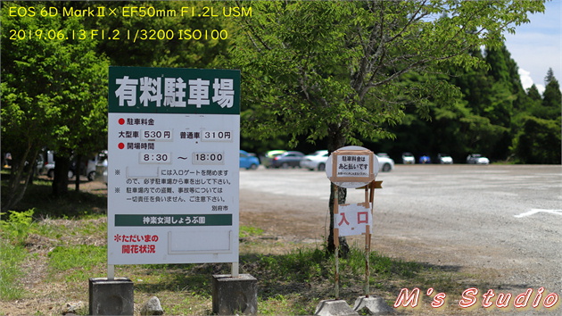 おんせん県おおいた　大分県　別府市　枝郷　阿蘇くじゅう国立公園　神楽女湖　かぐらめこ　１万5000株　菖蒲　花　しょうぶ　園　観賞会　見頃　五分咲き　６月中旬　６月下旬　志高湖　写真撮影会　EOS 6D MarkⅡ　EF16-35mm f/4L IS USM　EF70-200mmF2.8L IS Ⅲ USM　EF50mm F1.2L USM　EF12Ⅱ　Canon