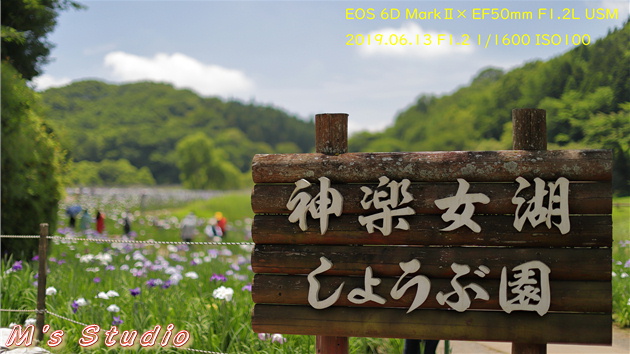 おんせん県おおいた　大分県　別府市　枝郷　阿蘇くじゅう国立公園　神楽女湖　かぐらめこ　１万5000株　菖蒲　花　しょうぶ　園　観賞会　見頃　五分咲き　６月中旬　６月下旬　志高湖　写真撮影会　EOS 6D MarkⅡ　EF16-35mm f/4L IS USM　EF70-200mmF2.8L IS Ⅲ USM　EF50mm F1.2L USM　EF12Ⅱ　Canon