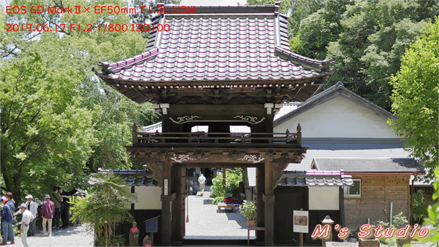 おんせん県おおいた　温泉県　大分県　豊後大野市　朝地町　上尾塚　普光寺　ふこうじ　あじさい寺　６月　見頃　あじさい　アジサイ　紫陽花　磨崖仏　筑紫尾寺　ちくしおじ　不動明王　矜羯羅童子　こんがらどうじ　制多迦童子　せいたかどうじ　県指定　文化財　おおいた豊後大野ジオパーク　宝八幡宮　用作公園　♯朝地町あじさい祭り2019