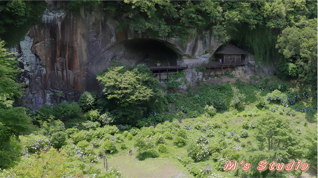 おんせん県おおいた　温泉県　大分県　豊後大野市　朝地町　上尾塚　普光寺　ふこうじ　あじさい寺　６月　見頃　あじさい　アジサイ　紫陽花　磨崖仏　筑紫尾寺　ちくしおじ　不動明王　矜羯羅童子　こんがらどうじ　制多迦童子　せいたかどうじ　県指定　文化財　おおいた豊後大野ジオパーク　宝八幡宮　用作公園　♯朝地町あじさい祭り2019