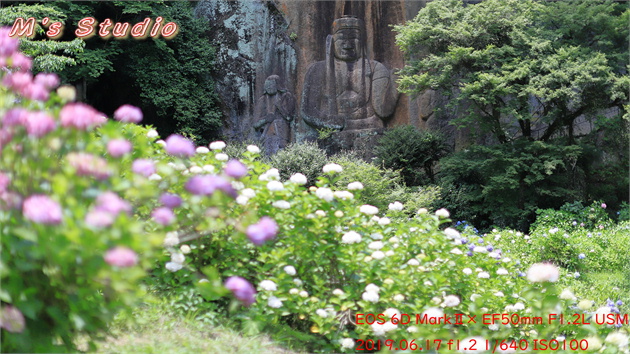 おんせん県おおいた　温泉県　大分県　豊後大野市　朝地町　上尾塚　普光寺　ふこうじ　あじさい寺　６月　見頃　あじさい　アジサイ　紫陽花　磨崖仏　筑紫尾寺　ちくしおじ　不動明王　矜羯羅童子　こんがらどうじ　制多迦童子　せいたかどうじ　県指定　文化財　おおいた豊後大野ジオパーク　宝八幡宮　用作公園　♯朝地町あじさい祭り2019