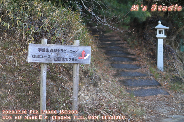 大分県　おんせん県おおいた　登山　宇曽山　障子岳　紅葉　セラピーロード