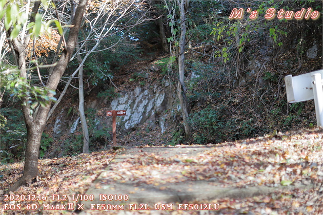 大分県　おんせん県おおいた　登山　宇曽山　障子岳　紅葉　セラピーロード