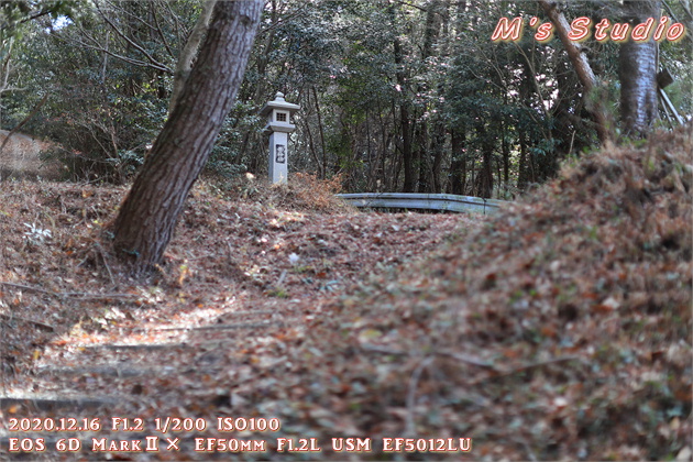 大分県　おんせん県おおいた　登山　宇曽山　障子岳　紅葉　セラピーロード