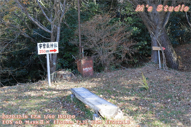 大分県　おんせん県おおいた　登山　宇曽山　障子岳　紅葉　セラピーロード